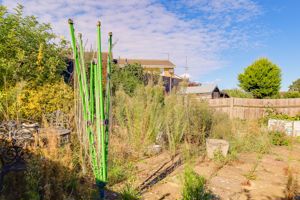 Photo 16- click for photo gallery